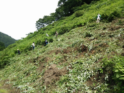 午前の作業終了