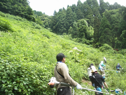 午後の圃場へ向かう