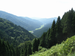 圃場から眼下を臨む