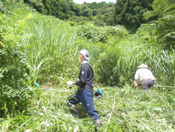 午後の草刈りの様子１