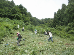 午後の作業終了