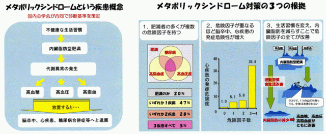 メタボ概念