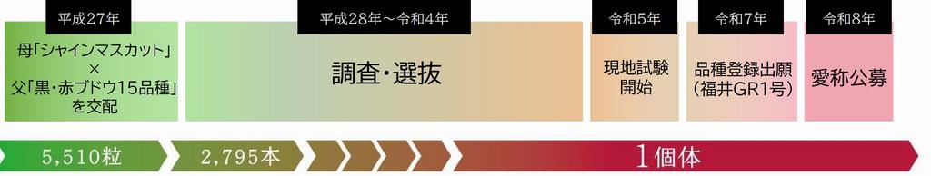 ながれ