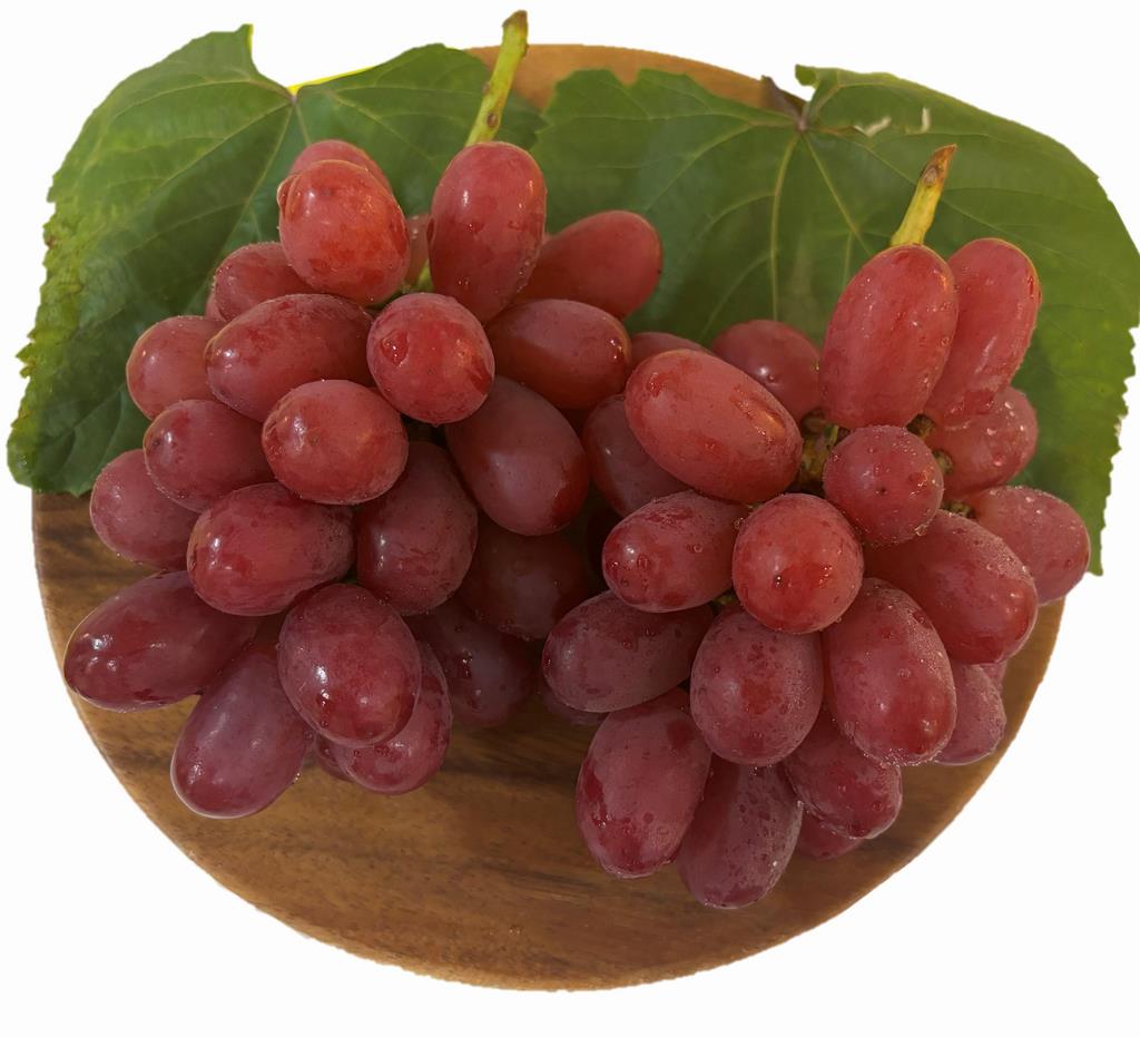 お皿２
