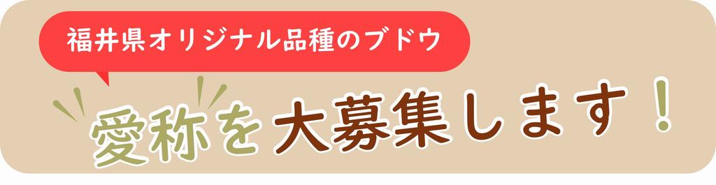 タイトル３