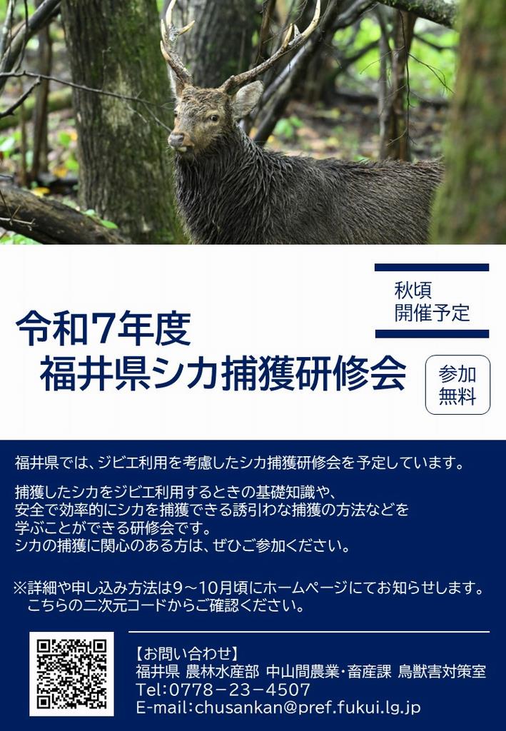 シカ捕獲研修（チラシ）