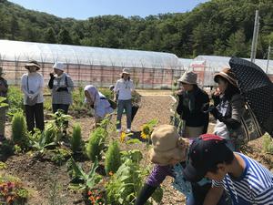 平成30年7月20日里山農園