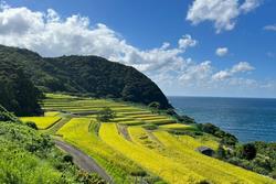 田烏の棚田（小浜市）