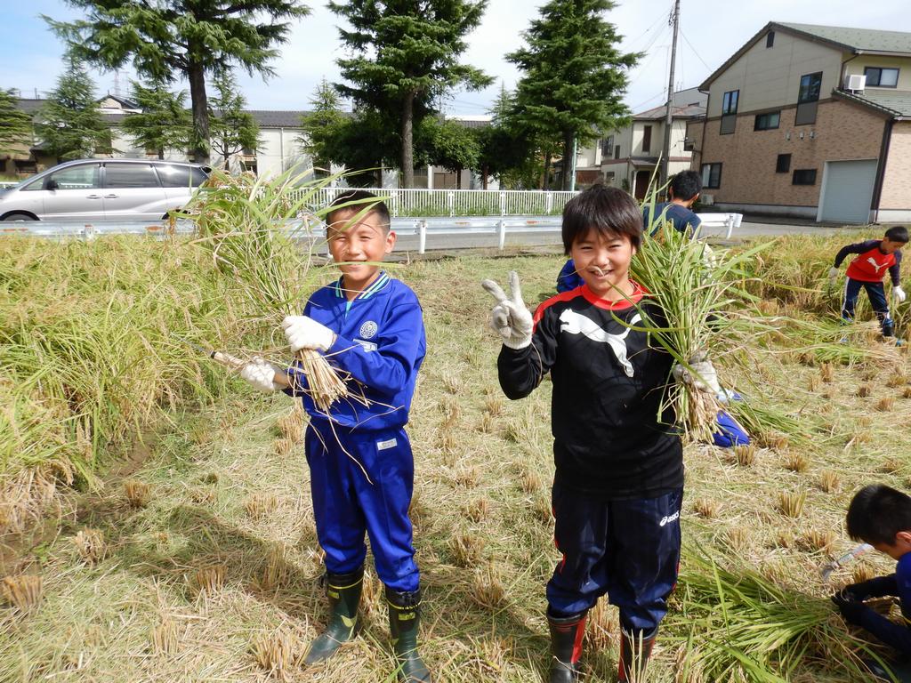 麻紐結び完了