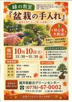 盆栽の手入れ