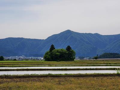 猫島