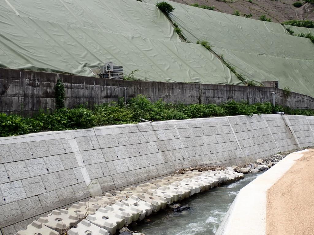 木の芽川護岸部