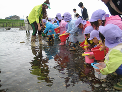 ５月２７日　アユの稚魚放流体験