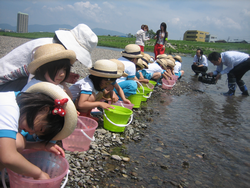 ６月３日　アユの稚魚放流体験