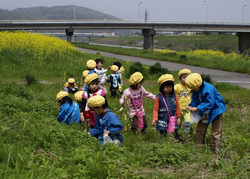 ５月２日　よもぎ摘み