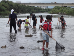 ７月３０日　水中生物環境学習