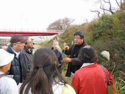 １１月２７日　足羽川と足羽山の座学と植物観察会