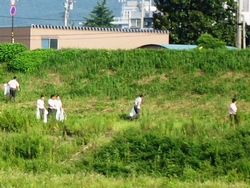 北陸コカコーラ清掃写真①