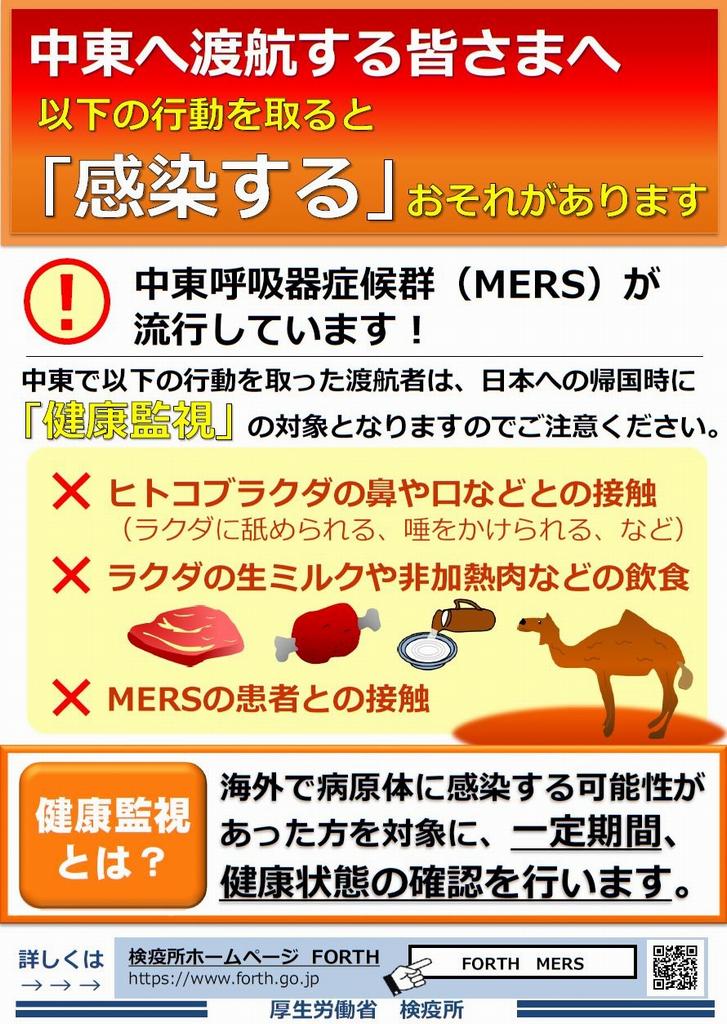 ＭＥＲＳリーフレット