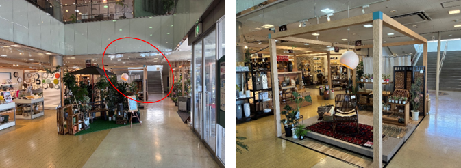 展示場所（予定）