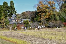 田園風景のなかを皆でお散歩