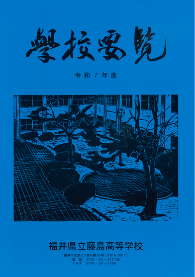 藤島画像
