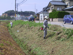 主要地方道　芦原丸岡線（道路除草）