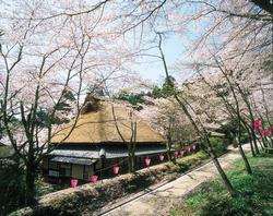 花筐公園