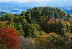 19_『秋の山３号線を行く』　髙田正年