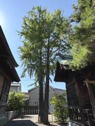 白髭神社１