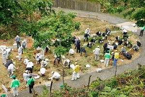 当日の植樹の様子