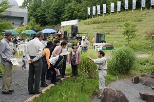 園内での植物観察ツアー