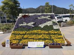 越前たけふ駅おもてなし花壇