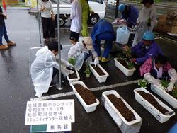 島建_植栽風景➀