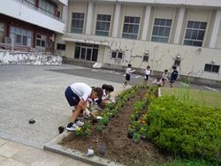 学校植栽1_本郷小