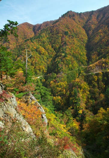 紅葉の冠山林道