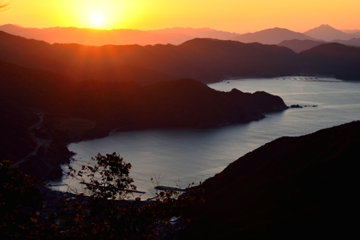 田烏夕景