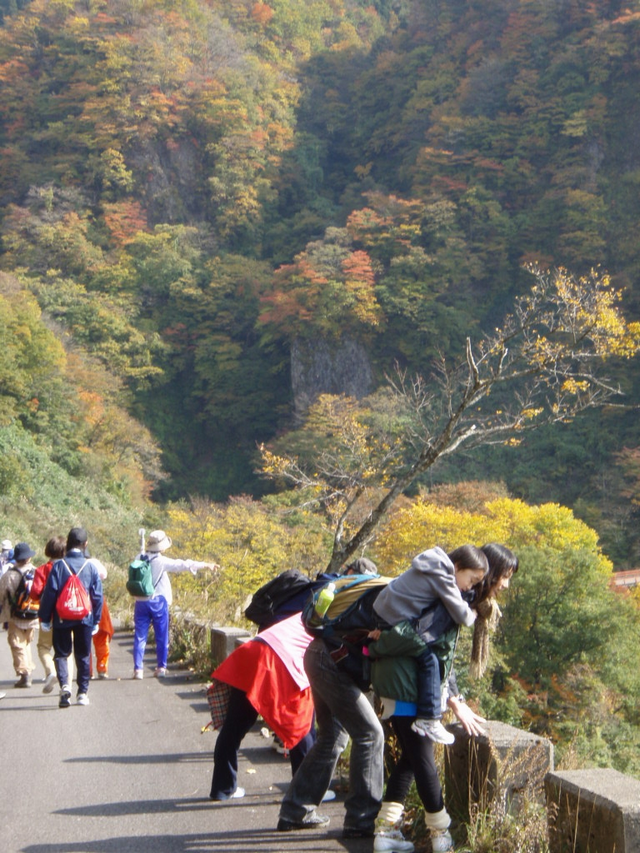 全体写真in小浜市