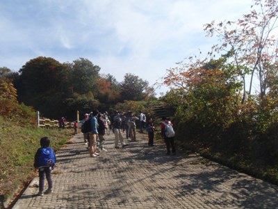 野鳥観察