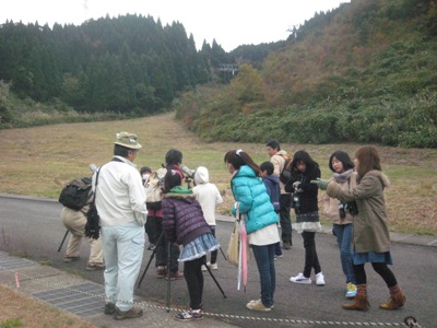 野鳥観察