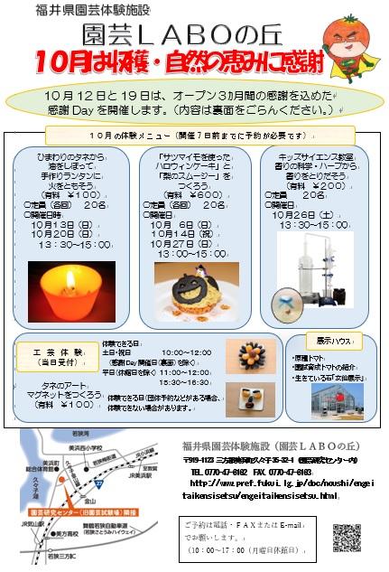 10月チラシ表