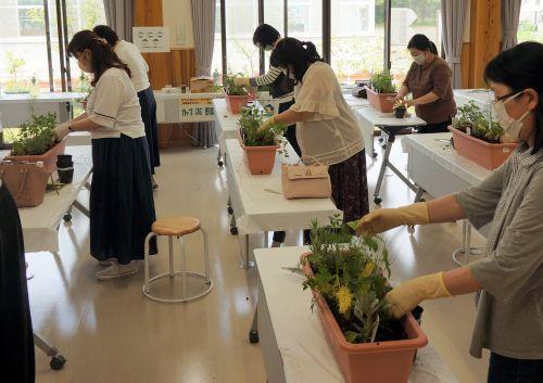 ハーブ寄せ植え