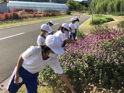 北新庄小学校