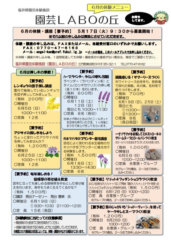 ６月チラシ表