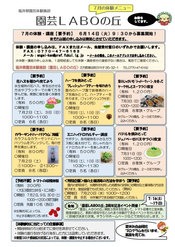 ７月チラシ表