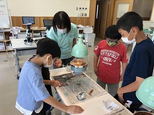 土壌生物の観察