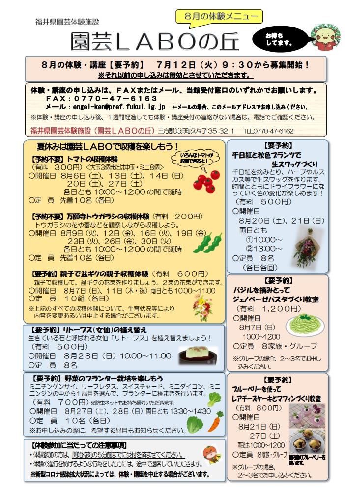 ８月チラシ表