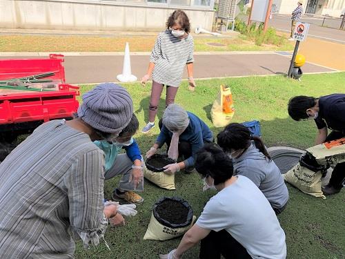 肥料袋でミニダイコン