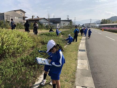 野木小学校