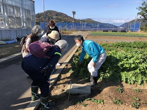 野菜畑の見学会